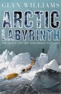 Abbildung von: Arctic Labyrinth - Penguin Books Ltd