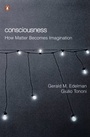 Cover: Consciousness - Penguin Books Ltd