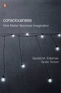 Cover: Consciousness - Penguin Books Ltd