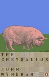 Enlarge image Cover: The Chrysalids - Penguin Books Ltd