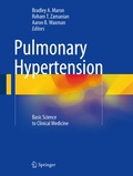 Bild: Pulmonary Hypertension - Springer