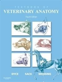 Abbildung von: Dyce, Sack, and Wensing's Textbook of Veterinary Anatomy - Saunders