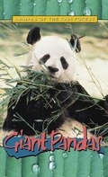 Cover: Giant Pandas - Raintree