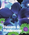Cover: Flowers & Mushrooms - Hirmer