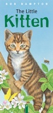 Cover: The Little Kitten - Apollo Medien