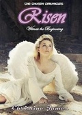 Cover: The Chosen Chronicles - Bgp Publishing