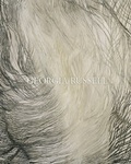Cover: Georgia Russell - Galerie Karsten Greve