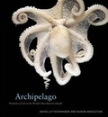 Cover: Archipelago - National Geographic Books