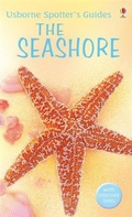 Cover: The Seashore - Usborne Publishing Ltd