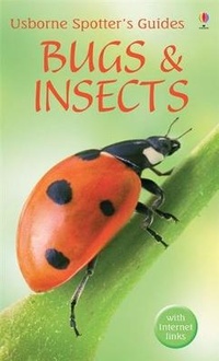 Enlarge image Cover: Bugs and Insects - Usborne Publishing Ltd