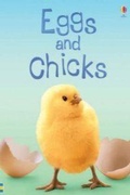 Cover: Eggs and Chicks - Usborne Publishing Ltd
