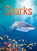 Cover: Sharks - Usborne Publishing Ltd