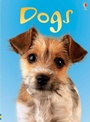Cover: Dogs - Usborne Publishing Ltd