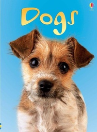 Enlarge image Cover: Dogs - Usborne Publishing Ltd