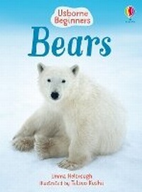 Enlarge image Cover: Bears - Usborne Publishing Ltd