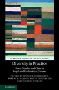 Cover: Diversity in Practice - Cambridge University Press