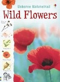 Cover: Wild Flowers - Usborne Publishing Ltd