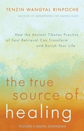 Cover: The True Source of Healing - Hay House Inc.