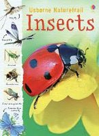 Enlarge image Cover: Insects - Usborne Publishing Ltd