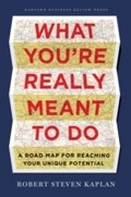 Cover: What You're Really Meant to Do - Harvard Business Review Press