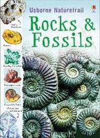 Enlarge image Cover: Rocks and Fossils - Usborne Publishing Ltd
