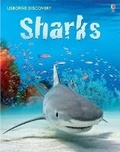 Cover: Discovery Sharks - Usborne Publishing Ltd