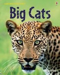Cover: Discovery Big Cats - Usborne Publishing Ltd
