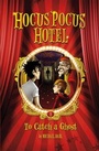 Cover: To Catch a Ghost - Stone Arch Books