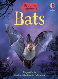 Enlarge image Cover: Bats - Usborne Publishing Ltd