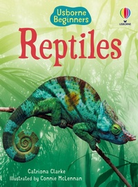 Enlarge image Cover: Reptiles - Usborne Publishing Ltd
