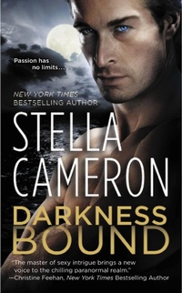 Enlarge image Cover: Darkness Bound - Grand Central Publishing