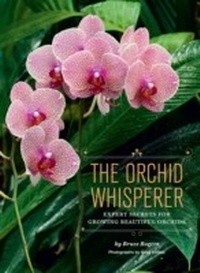 Enlarge image Cover: Orchid Whisperer - Chronicle Books LLC