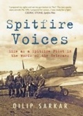 Cover: Spitfire Voices - Amberley Publishing