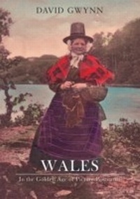 Abbildung von: Wales In the Golden Age of Picture Postcards - Amberley Publishing