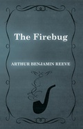 Cover: The Firebug - Read Books Ltd.