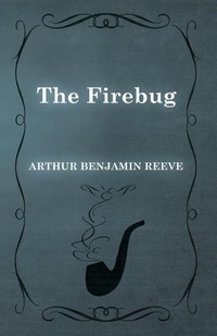 Enlarge image Cover: The Firebug - Read Books Ltd.