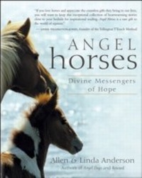 Enlarge image Cover: Angel Horses - New World Library