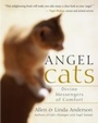 Cover: Angel Cats - New World Library