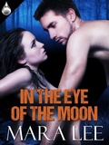 Cover: In the Eye of the Moon - Liquid Silver Books