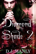 Cover: Diamond In the Shade 2 - Liquid Silver Books