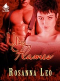 Cover: Up In Flames - Liquid Silver Books