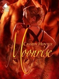Cover: Moonrise - Liquid Silver Books