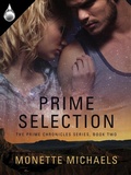 Cover: Prime Selection - Liquid Silver Books