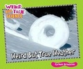 Cover: Weird But True Weather - Enslow Publishing