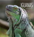 Cover: Iguanas - Creative Paperbacks