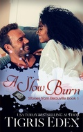 Cover: A Slow Burn - KATS KREATIVE IDEAS