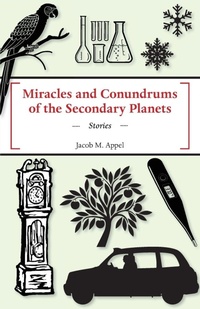 Enlarge image Cover: Miracles and Conundrums of the Secondary Planets - Black Lawrence Press