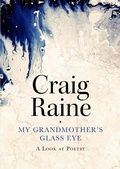 Cover: My Grandmother's Glass Eye - Atlantic Books