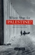 Cover: Where Now for Palestine? - Zed Books Ltd