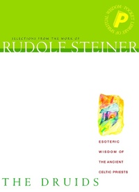 Enlarge image Cover: The Druids - Rudolf Steiner Press